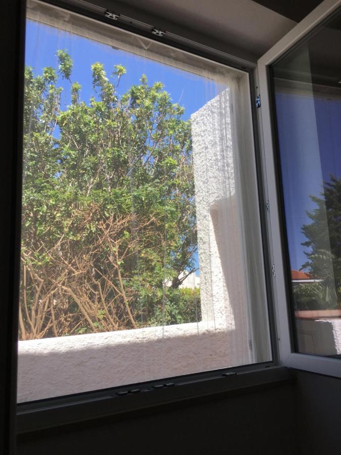 פולינאנו א מארה Almarea Blu - Appartamento In Villa Vicino Al Mare - Affitto Breve מראה חיצוני תמונה