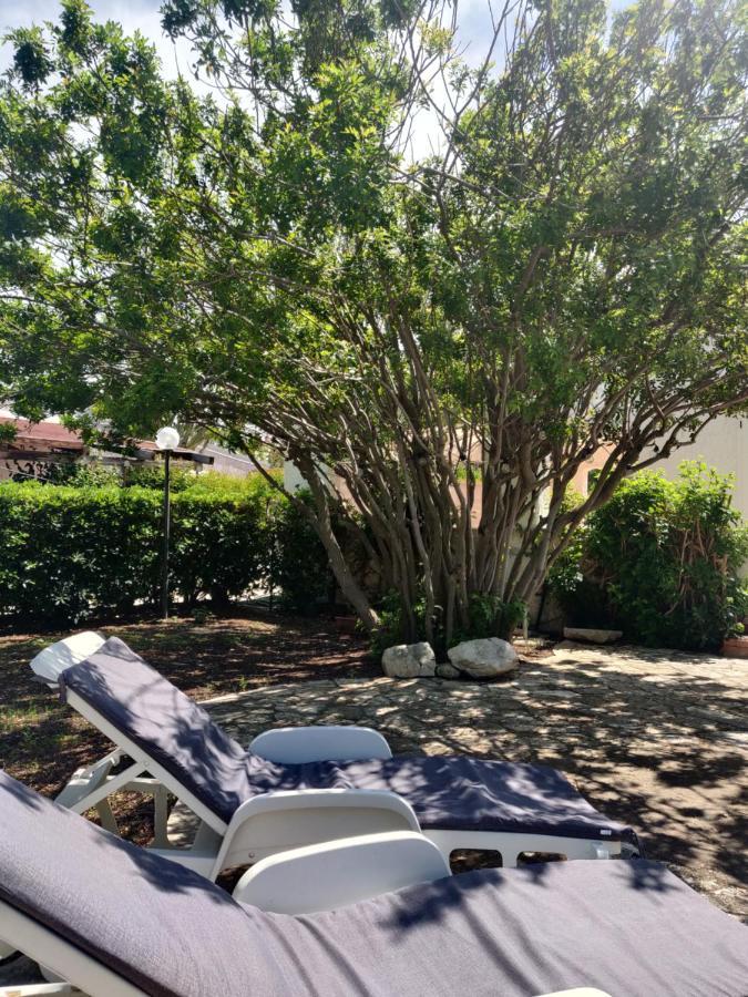 פולינאנו א מארה Almarea Blu - Appartamento In Villa Vicino Al Mare - Affitto Breve מראה חיצוני תמונה